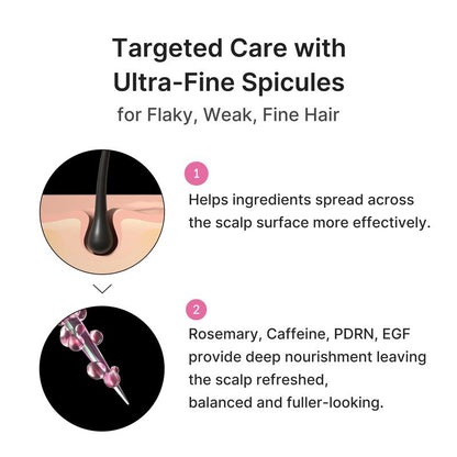 Medicube Rosemary PDRN Scalp-to-Hair Set | 3 Essential Products | Korean Hair Care